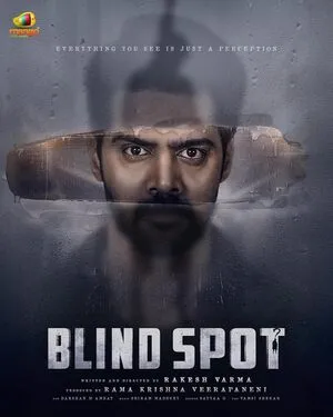 Blind Spot 2025 Hindi Dual Audio WEB-DL 720p - 480p - 1080p